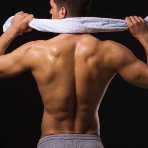 backmuscles-1508869708